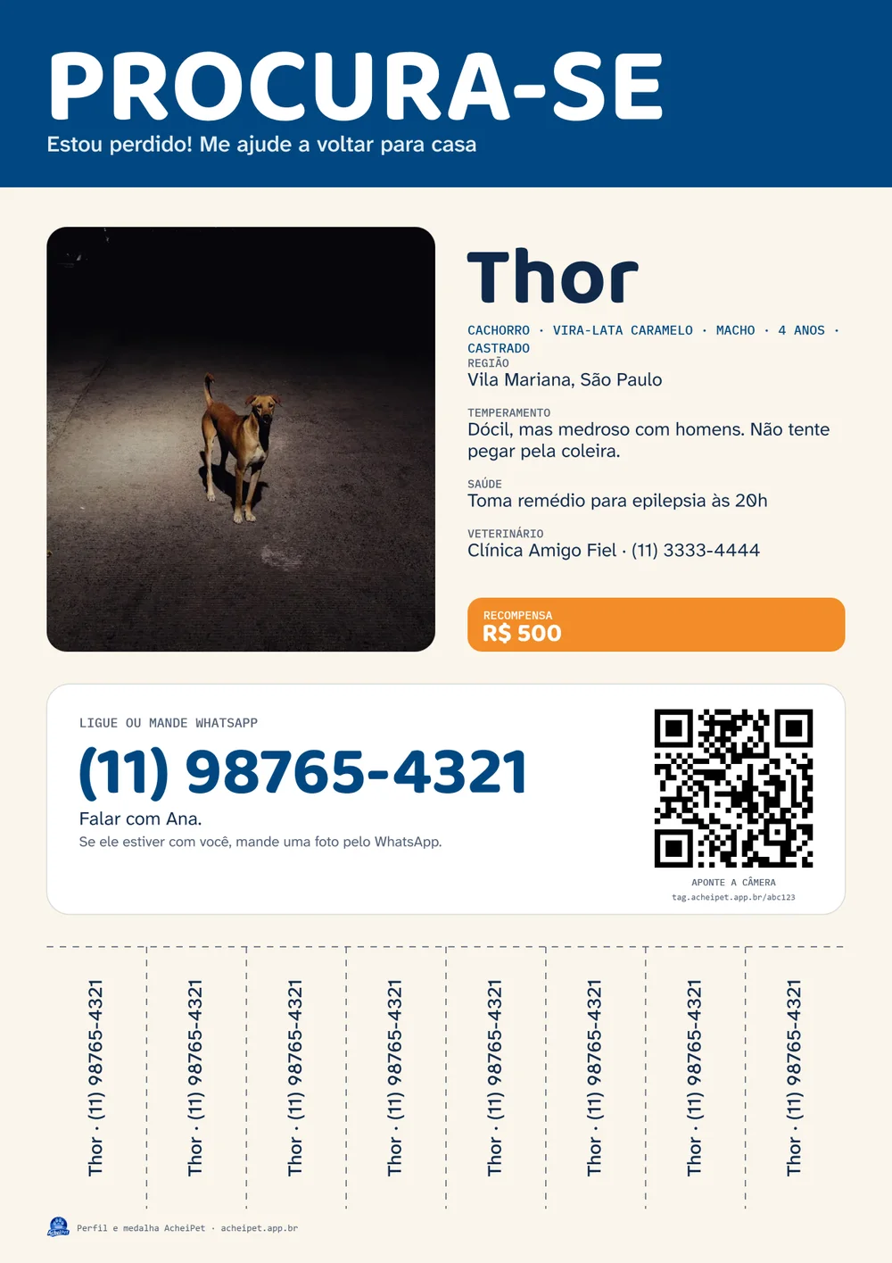 Exemplo do cartaz de pet perdido gerado em PDF