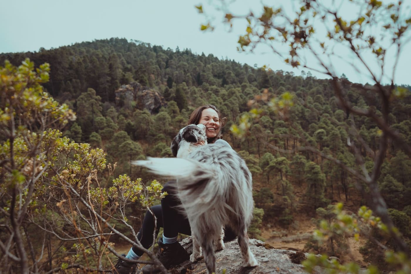 Dona com o cão, ao ar livre